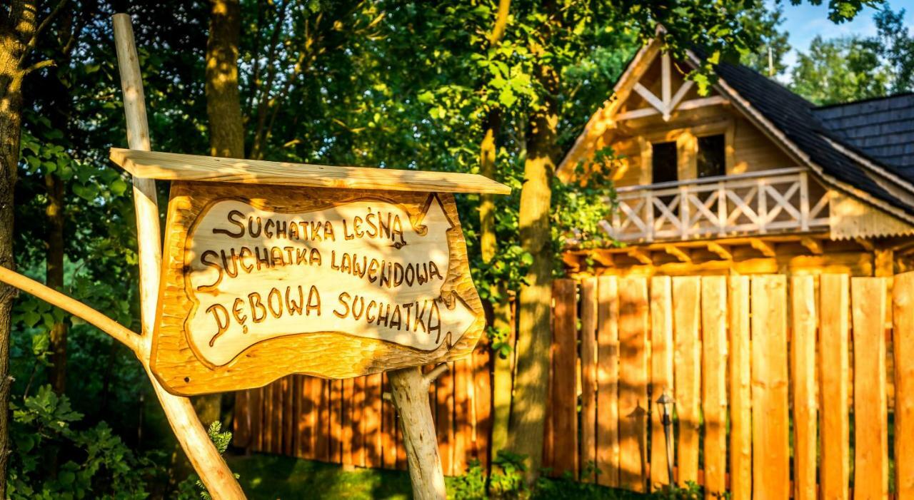 Sucholand Villa Miedziana Gora Exterior photo